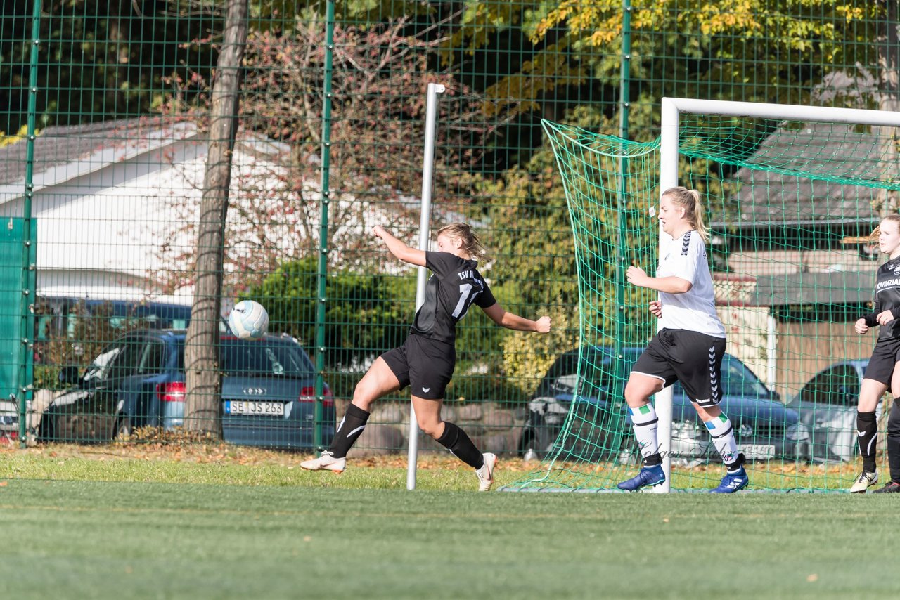 Bild 250 - Frauen SV Henstedt Ulzburg III - TSV Wiemersdorf : Ergebnis: 2:1